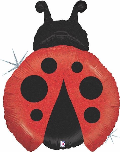 Фигура, Божья коровка, Голография