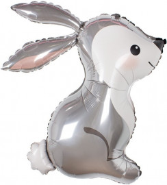 Лесной заяц (Китай)