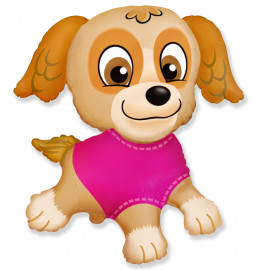 Шар Щенок, Скай