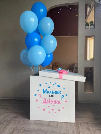 Коробка на Гендер-пати